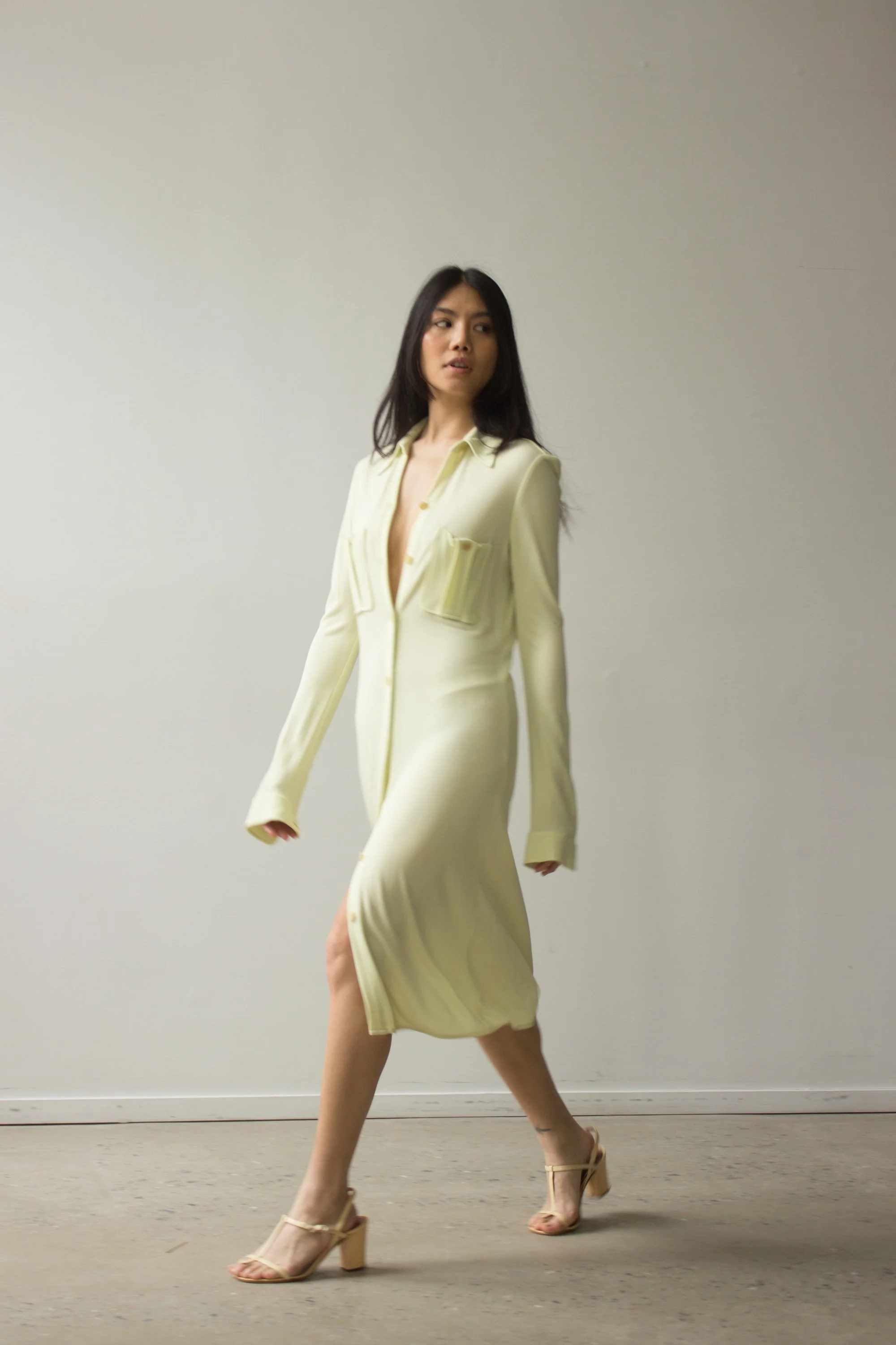 calvin+dress+(1+of+4).jpg?